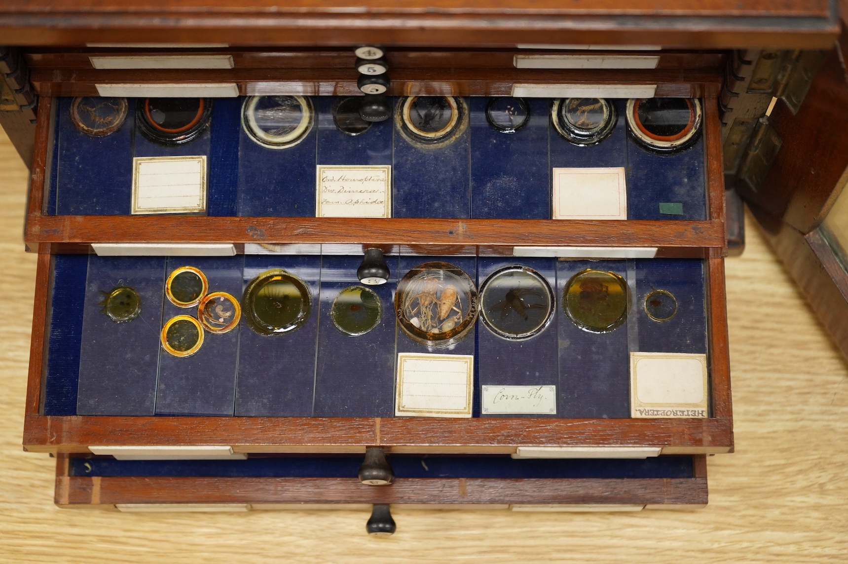 A 19th century mahogany cased slide box, fitted with 13 slide trays, housing approximately 290 slides of mineral, plant, animal and fossil specimens, 26cm wide, 19cm high, 29.5cm deep CITES Submission reference 514GC1XX